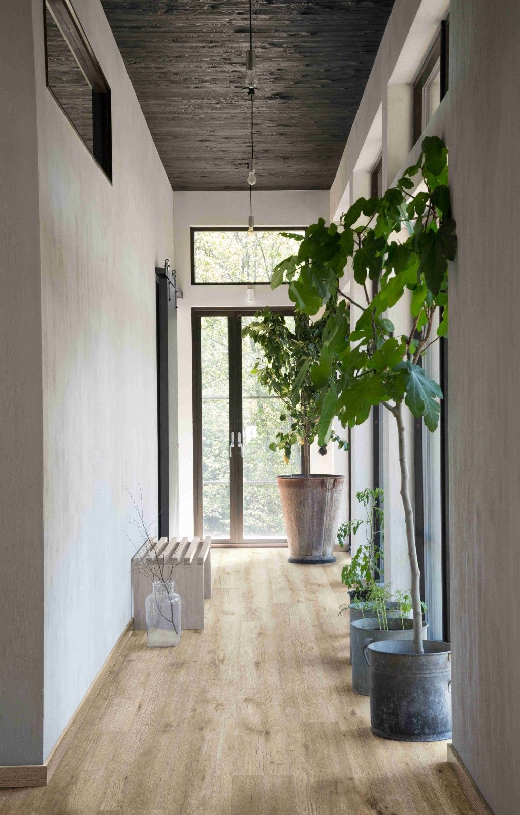 Montilla Planks - Ringo